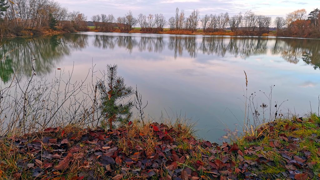Lohmeier Teich