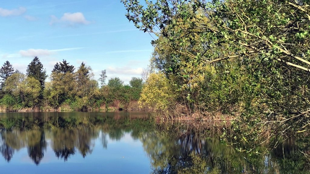 Winkelmann Teich
